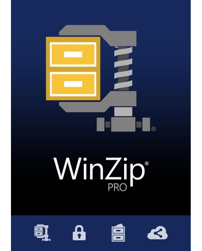 WinZip 28 Pro